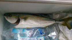 煙樹ヶ浜でジグ＆ルアーをキャスト　久しぶり…