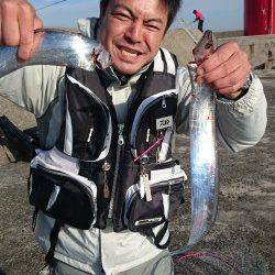 岸和田旧一文字 赤塔でタチウオなど　カワハギは肝旨すぎでした♪