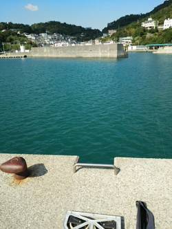 田ノ浦へチヌを求めて　メッキの引きを楽しみ…