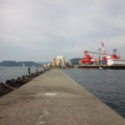 太刀魚＆青物狙いに生穂へ　青物アタリなくエソの時合に突入