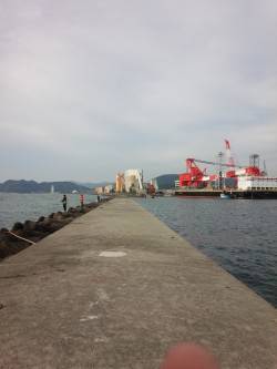 太刀魚＆青物狙いに生穂へ　青物アタリなくエ…