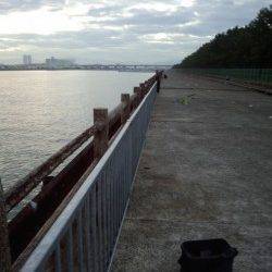 大津川河左岸の高場へ太刀魚狙い　ワインドで4本ゲット