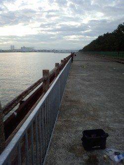 大津川河左岸の高場へ太刀魚狙い　ワインドで4本ゲット