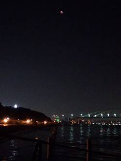 舞洲シーサイドプロムナード　ウキ釣りで良型…