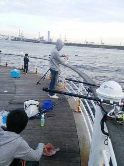 舞洲タチウオ狙い　20㎝までのアジはパラパ…