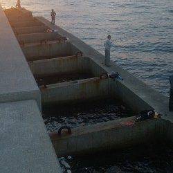 須磨　深夜12時からのタチウオ釣行で19本