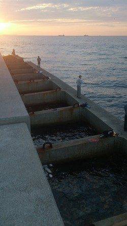 須磨　深夜12時からのタチウオ釣行で19本