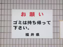 敦賀新港エギングでアオリイカ、明るくなって…
