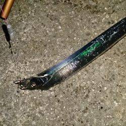 貝塚　ウキ釣りのタチウオ狙いは75cm＆8…