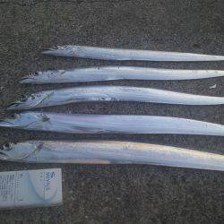 食品コンビナート 台風の影響で沖が荒れ湾内…