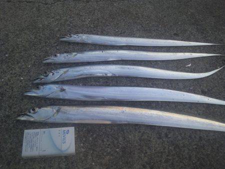 食品コンビナート 台風の影響で沖が荒れ湾内…