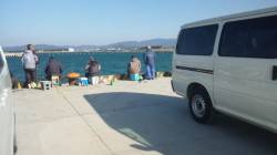 日高港　ワインドでタチウオ26本　今朝は気…