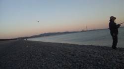 煙樹ヶ浜　ショアジギングでハマチがヒットし…