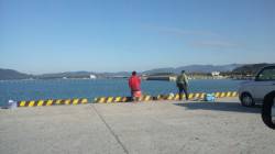 日高港湾のタチウオ　アタリ多く久々に数釣り…