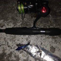 舞洲 ハードルアーで太刀魚〜ガツガツとしたアタリがたまりません