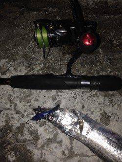 舞洲 ハードルアーで太刀魚〜ガツガツとしたアタリがたまりません