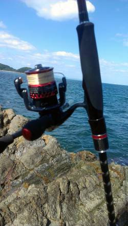 城ヶ崎　エギングでアオリイカ、すべてサイト…