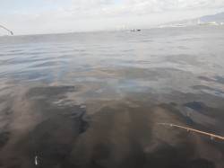 西宮ケーソン　ショアジギングでサゴシ56c…