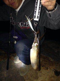 林崎漁港でのエギング　棚は表層でした