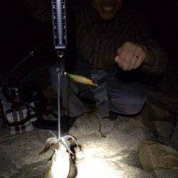 林崎漁港でのエギング　棚は表層でした