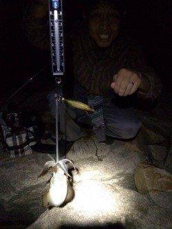 林崎漁港でのエギング　棚は表層でした