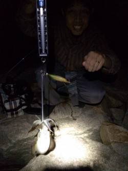 林崎漁港でのエギング　棚は表層でした