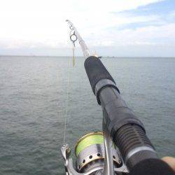 大阪南港　ライトタックスでショアジギ釣行