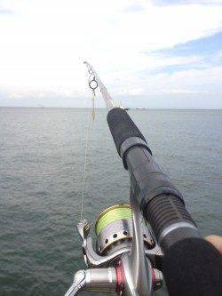 大阪南港　ライトタックスでショアジギ釣行