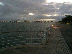 田辺市元島波止でコロダイ65ｃｍ