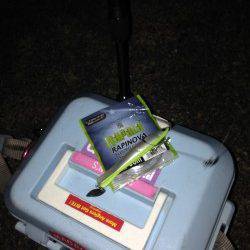 釣果UPが目立つ舞洲へ太刀魚狙いへ…帰り際根狙いで泣きのガシラ１匹