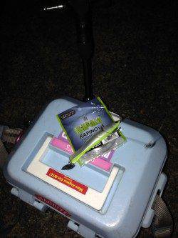 釣果UPが目立つ舞洲へ太刀魚狙いへ…帰り際根狙いで泣きのガシラ１匹