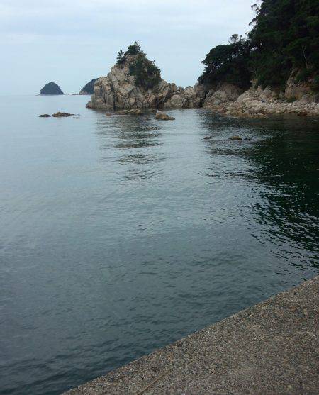 小橋にてエギングアタリなく根魚狙いに変更～…