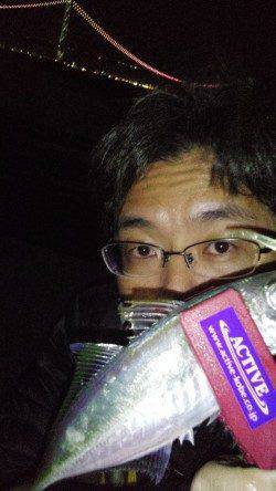 岩屋周辺をアジングでランガン　ダウンショットでボトムを攻めて入れ食い