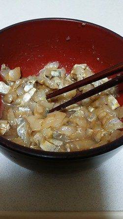 助松埠頭　ウキ釣りでタチウオ　太刀魚ユッケが絶品でした(*^^*)