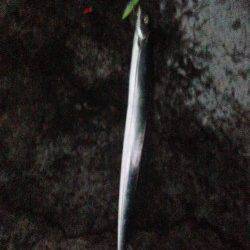 舞洲 ハードルアーで太刀魚〜ガツガツとしたアタリがたまりません