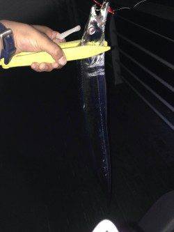 大阪南港タチウオワインド　ほとんど表層でF4.5のナイスサイズ4本