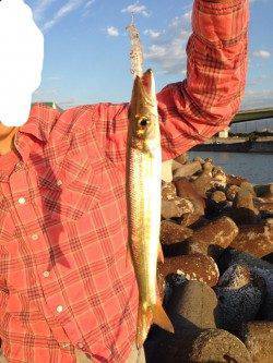 佐野川尻　台風の影響で濁り残るなかカマスが釣れました