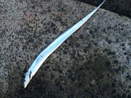 神戸港4,5,6,8防　23時から6時まで…