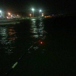 鳥取ノ荘　本日はウキ釣りでアジ狙いに挑戦しました