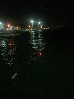 鳥取ノ荘　本日はウキ釣りでアジ狙いに挑戦しました