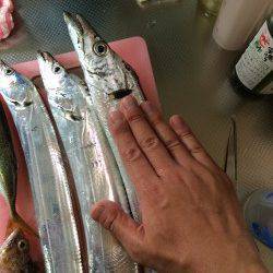 コスモでタチウオ狙い 　ワインドで2本、バイレーションで1本