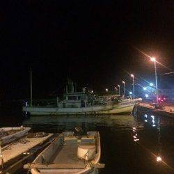 小島　深夜のアジングもアジ2尾キャッチのみ