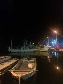 小島　深夜のアジングもアジ2尾キャッチのみ…