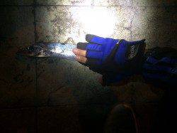 買物帰りにポーアイ北公園で太刀魚調査　暗くなってからワインドで1本