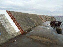 朝5:00便で武庫一へ　サゴシ・アジゲット　ハマチはフックアウト…