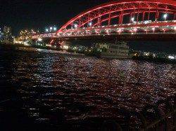 買物帰りにポーアイ北公園で太刀魚調査　暗くなってからワインドで1本