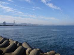 ジグサビキで遠投しての釣り　イイ型のアジで…