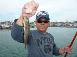 林崎漁港へ投げ釣り　久しぶりにハゼの強いア…