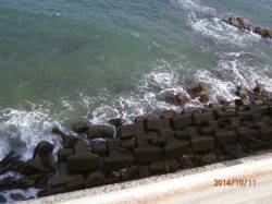 台風前にエギング　足元の最後の跳ね上げで一…