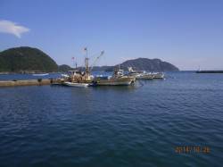 養老　渋めの中でのエギングは終盤にボトムで…